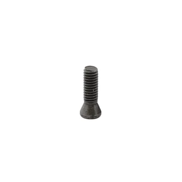 Lapka befogató csavar Torx T8 M3; L=10 mm