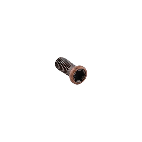 Lapka befogató csavar Torx T8 M3; L=8 mm