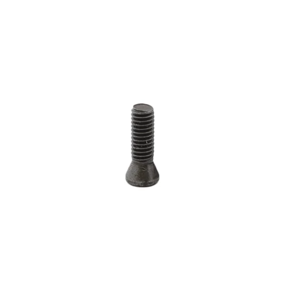 Lapka befogató csavar Torx T8 M3; L=10 mm