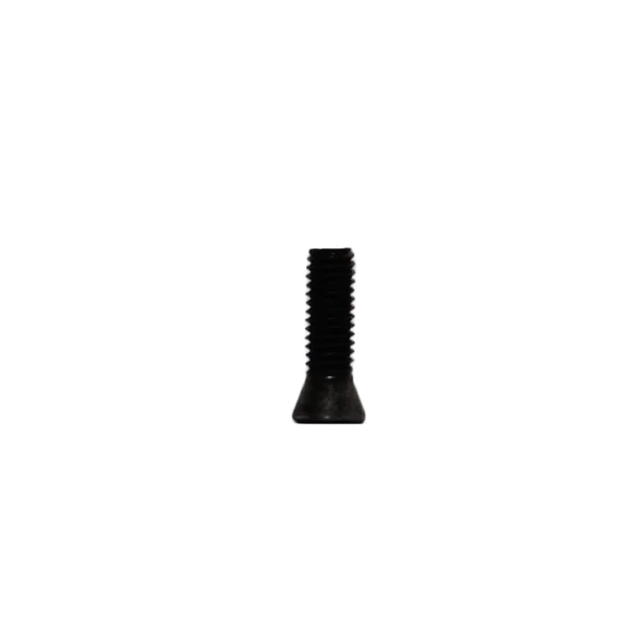 Torx T8 M3x10 Lapka befogató csavar